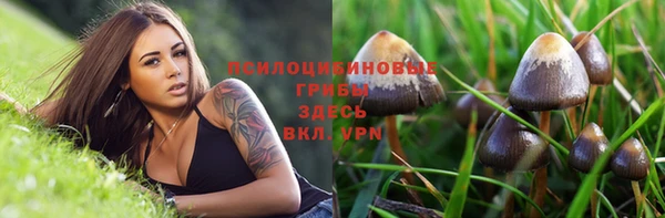 spice Алексеевка
