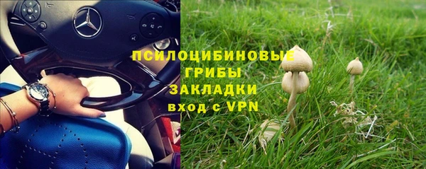 героин Алексин