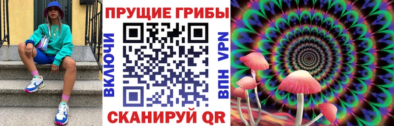 Псилоцибиновые грибы GOLDEN TEACHER  Купить  Иноземцево 